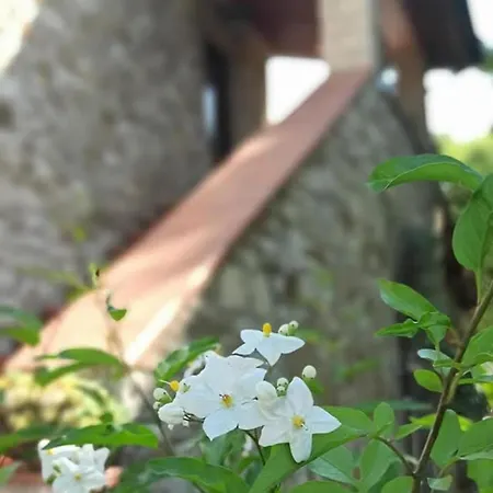 Casale Favilluta *