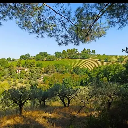 Casale Favilluta * Assisi